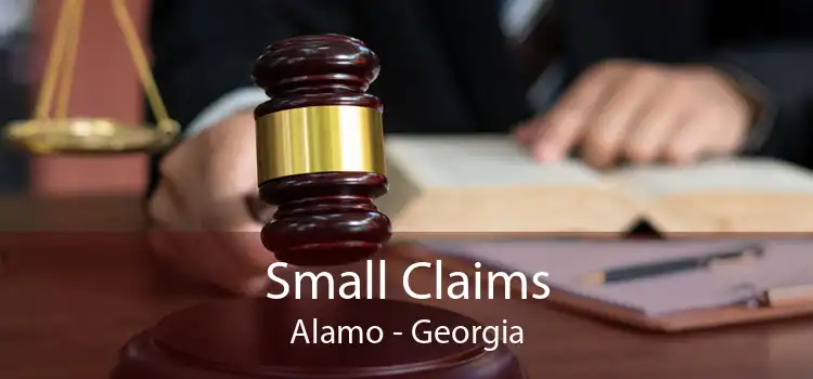 Small Claims Alamo - Georgia