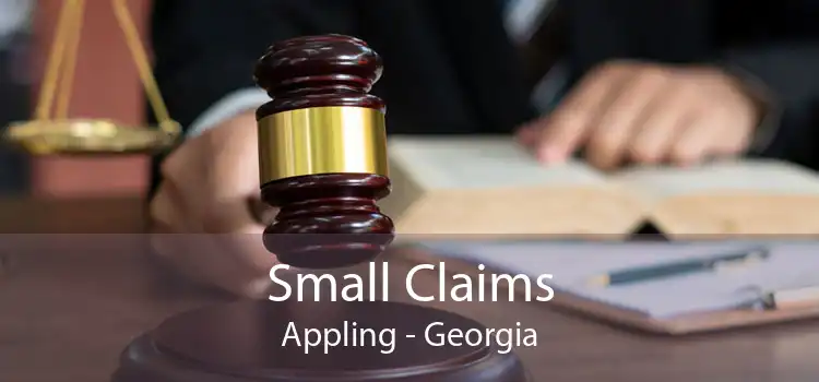 Small Claims Appling - Georgia