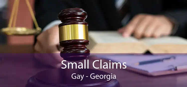 Small Claims Gay - Georgia