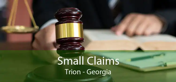 Small Claims Trion - Georgia